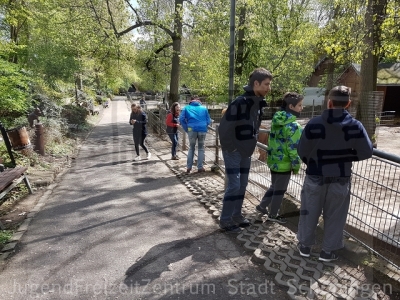 Klettern und Tiergarten Halberstadt_40